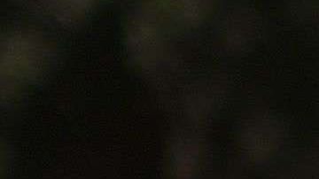 Activistas han aumentado las acciones contra el racismo