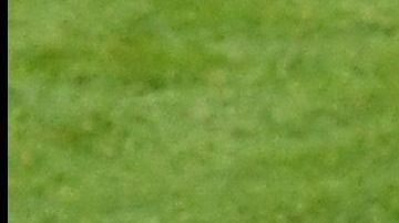 Los delanteros quieren romper redes en el viejo continente.