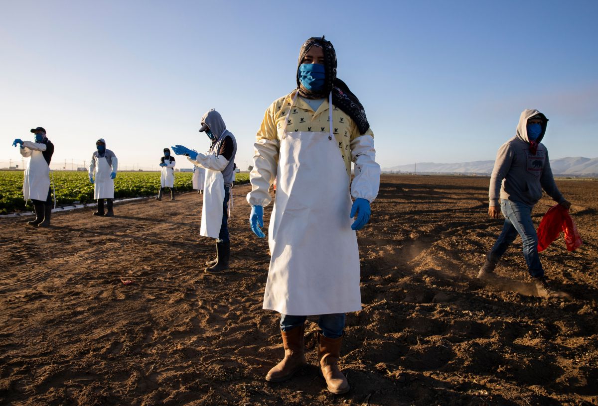Los agricultores son lo mejores guardianes del campo y el medio ambiente.