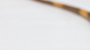 Las iguanas pueden llegar a crecer al menos 5 pies de largo.