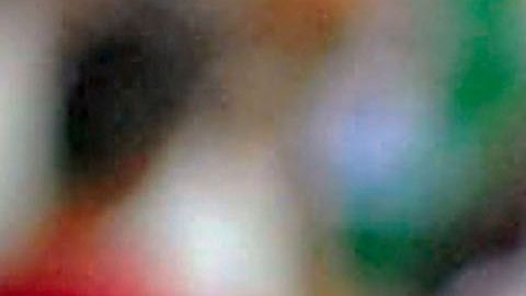 Galindo es un estandarte del Rebaño.