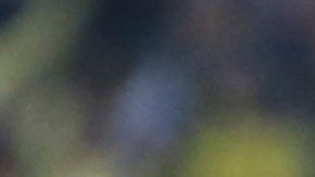 América ganó el primer Mundial de Clubes virtual de golazos.