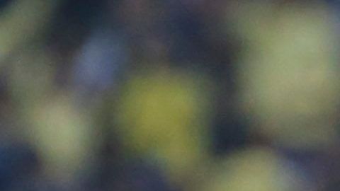 América ganó el primer Mundial de Clubes virtual de golazos.