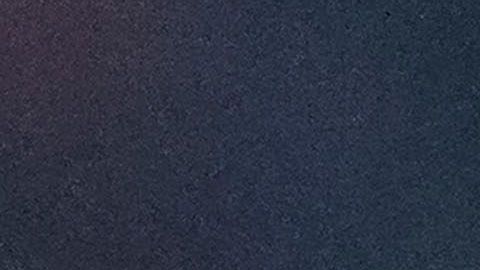 Pizarro fue campeón con Chivas en el Clausura 2017.