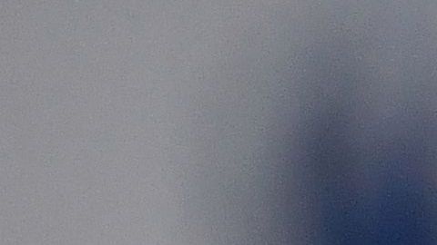 Miguel Herrera sigue rompiendo récords con el América.