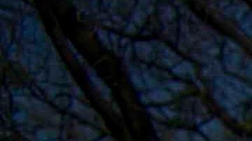 El elenco de "Imperio de Mentiras" reunido el primer día de grabaciones.