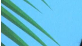 Heidi Balvanera y Jaime Camil