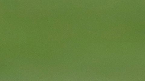 Lautaro Martínez, estrella del Inter de Milán.