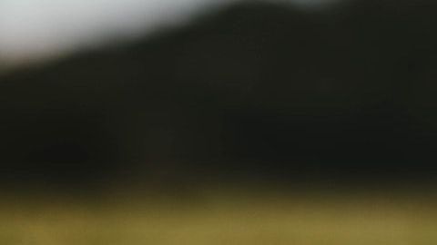Los mejores campos de golf de Estados Unidos. *Foto: Will Porada vía Unsplash.