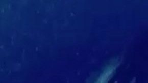 Mayeli Rivera Alonso, ex de Lupillo Rivera.