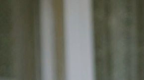“Ma Ma” con Penélope Cruz, te pondrá los pelos de punta.