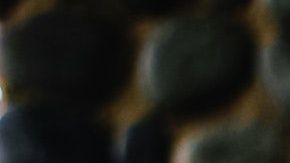 Descubre con qué signos no podrías llevarte bien en el amor.