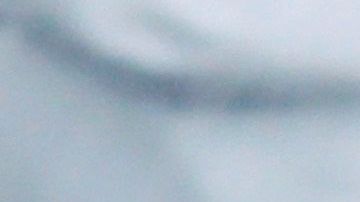 Marcelo, otra estrella que se une a la protesta.