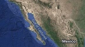 Sismo de 7.5 sacudió varios estados de México.