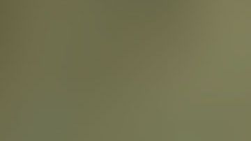 Retrato de Napoleón Bonaparte Broward, exgobernador de Florida.