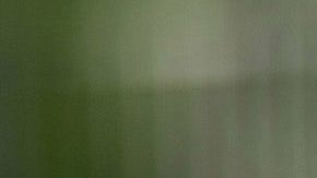 Descubre el significado de soñar con serpientes.