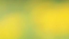 La dueña del local logró ayudar al animalito para que naciera.