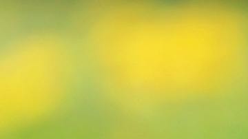 La dueña del local logró ayudar al animalito para que naciera.