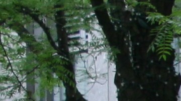 Vida comercial neoyorquina impactada por las reglas de "distanciamiento social" y los saqueos.