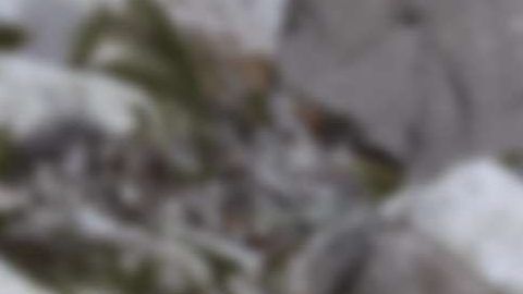 Nikola Badger.
Crédito: Cortesía Nikola Corp.