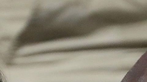 novias de mayweather