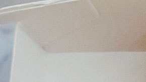 Hasta la fecha nadie ha reportado que se haya enfermado por este alimento.