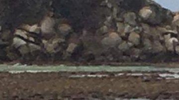 El epicentro del sismo fue en Oaxaca.