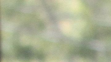 Los centros de jornaleros de NY han estado abiertos durante la pandemia para dar ayuda a estos trabajadores esenciales.