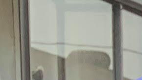 José Ángel Salas agradece a su padre José Salas que le haya dado la ciudadanía de EE.UU. (Cortesía Paulina Herrera)