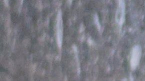 A primera vista, sí parece un oso.