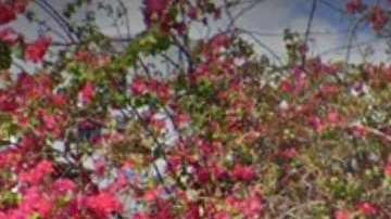 Imagen de la entrada de "El Patio" en el popular barrio de Wynwood, en Miami.