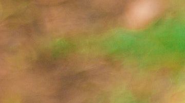 Todos los seres humanos poseen una llama violeta.