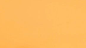 Todos tenemos un alma gemela del verdadero amor.