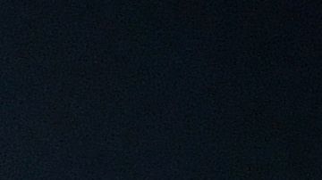 El bosnio Mirelam Pjanic.