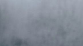 Foto: Alleksana/Pexels