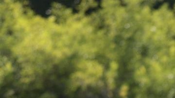 Las protestas contra los policías siguen en Jalisco.