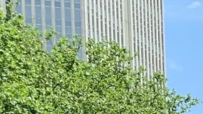 Miles de personas gritaban "Sin justicia, no hay paz".