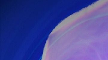 pulmones-kalhh en Pixabay