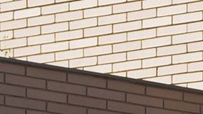 Ford Puma Ecoboost Hybrid 
Crédito: Cortesía Ford