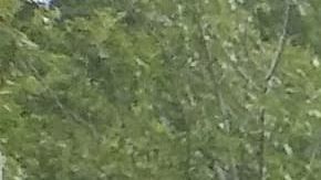 El río Leon donde buscaban a Vanessa Guillén.