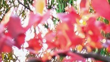 productos verano jardin