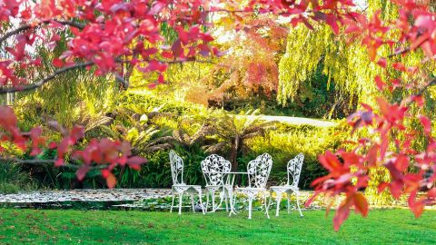 productos verano jardin