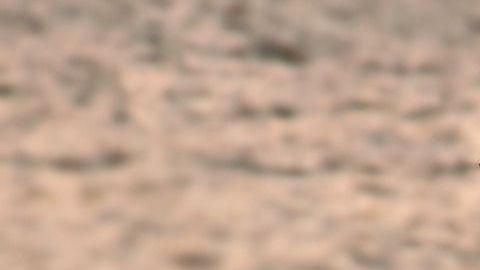 Es la segunda travesía transatlántica en velero del argentino.