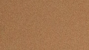 Sean Salas, presidente y cofundador de Camino Financial. /Cortesía Caminof Financial