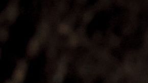 shutterstock_1012197685