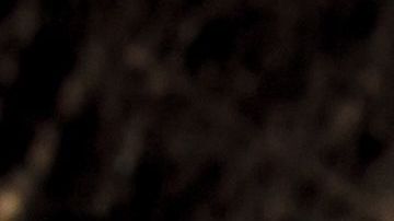 shutterstock_1012197685