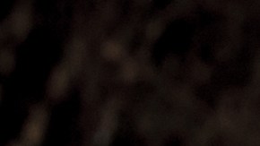 La comida enlatada se conserva en buen estado durante mucho tiempo.