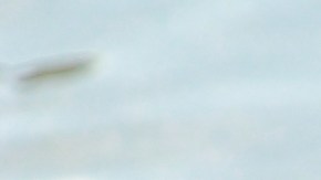 Los vecinos nada pudieron hacer para salvarle la vida.