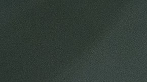 El cachorro de león tuvo que ser operado para salvarle la vida.