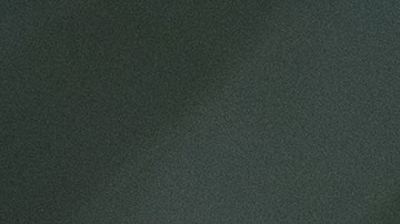 El cachorro de león tuvo que ser operado para salvarle la vida.